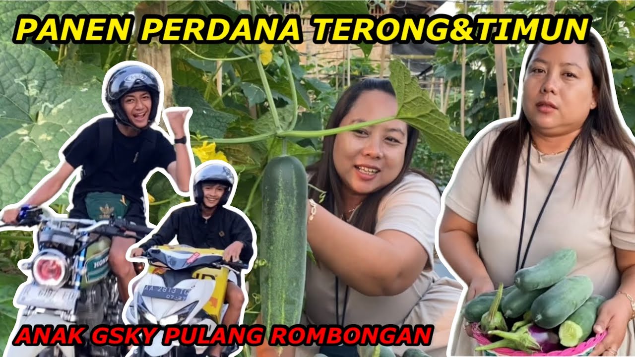 ANAK GSKY PULANG ROMBONGAN SAAT PANEN TERONG DAN TIMUN
