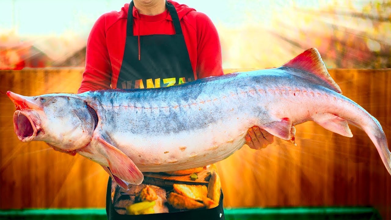 I Caught A Huge Fish and Cooked It in a Big Oven !