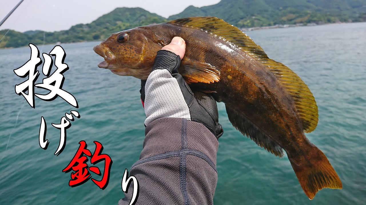 カワハギの棲み処　投げ釣り　岡村島　愛媛県