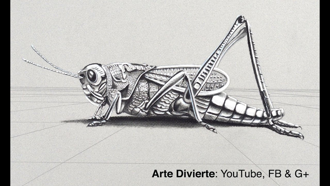 Cómo dibujar un Chapulín en 3D - Saltamontes metálico - Grillo cromado