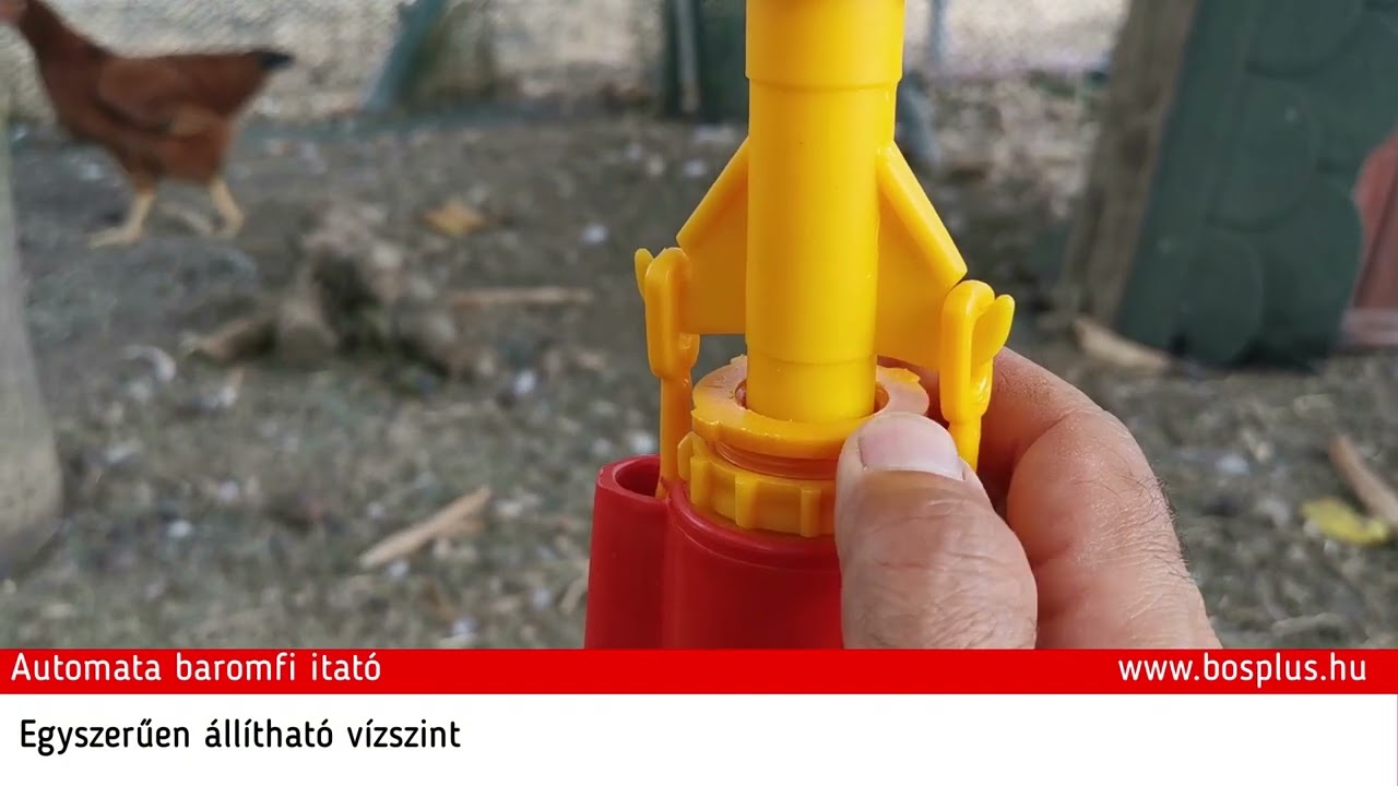 Automata baromfi itató