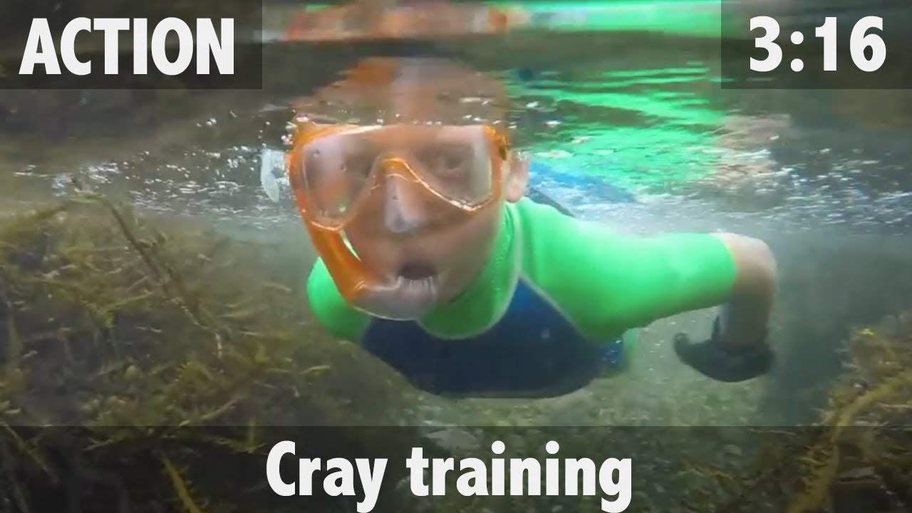 CRAYFISH TRAINING