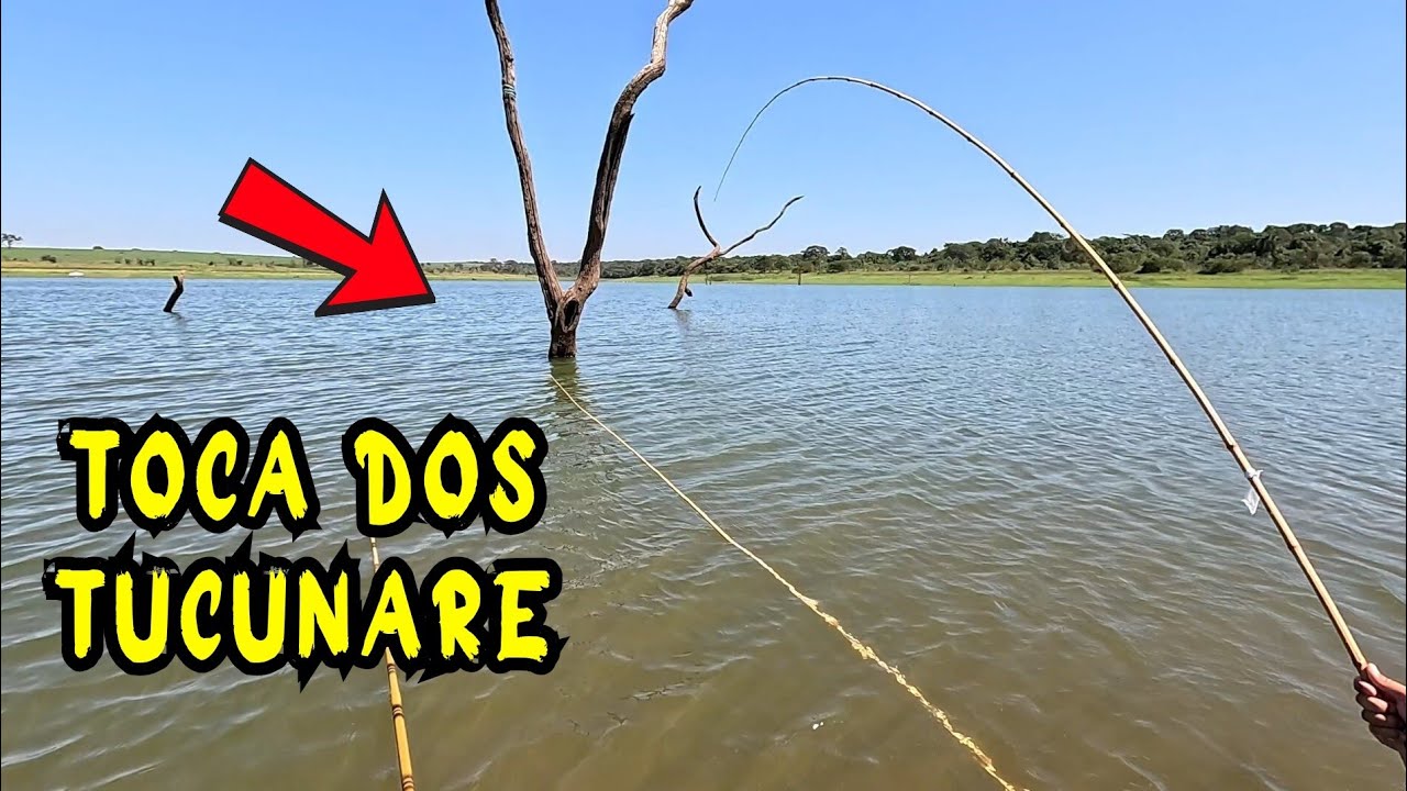 PESCARIA RAIZ no JATOBA GUARACI SP e BICO do JOTINHA, RIO GRANDE Aprenda o caminho e veja como foi