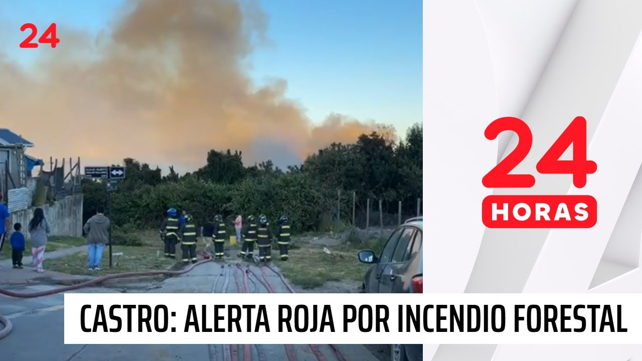 Alerta Roja en Castro por incendio forestal “cercano a sectores poblados” | 24 Horas TVN Chile