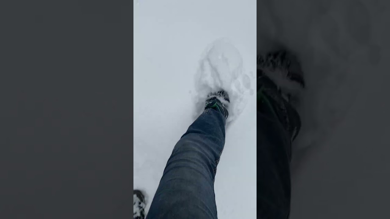 ￼￼ Richtig cooler Schnee,ausritt ￼