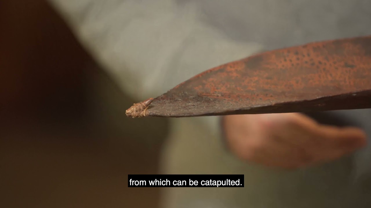 Australian Aboriginals Cultures Gallery - Ingenuity Antiquity