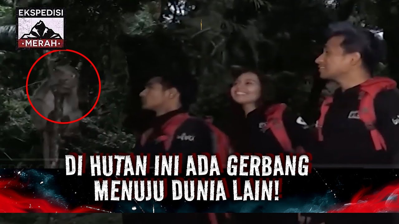 Ada Gerbang ke Dunia Lain di Hutan Ini! | Ekspedisi Merah Eps 82 Full