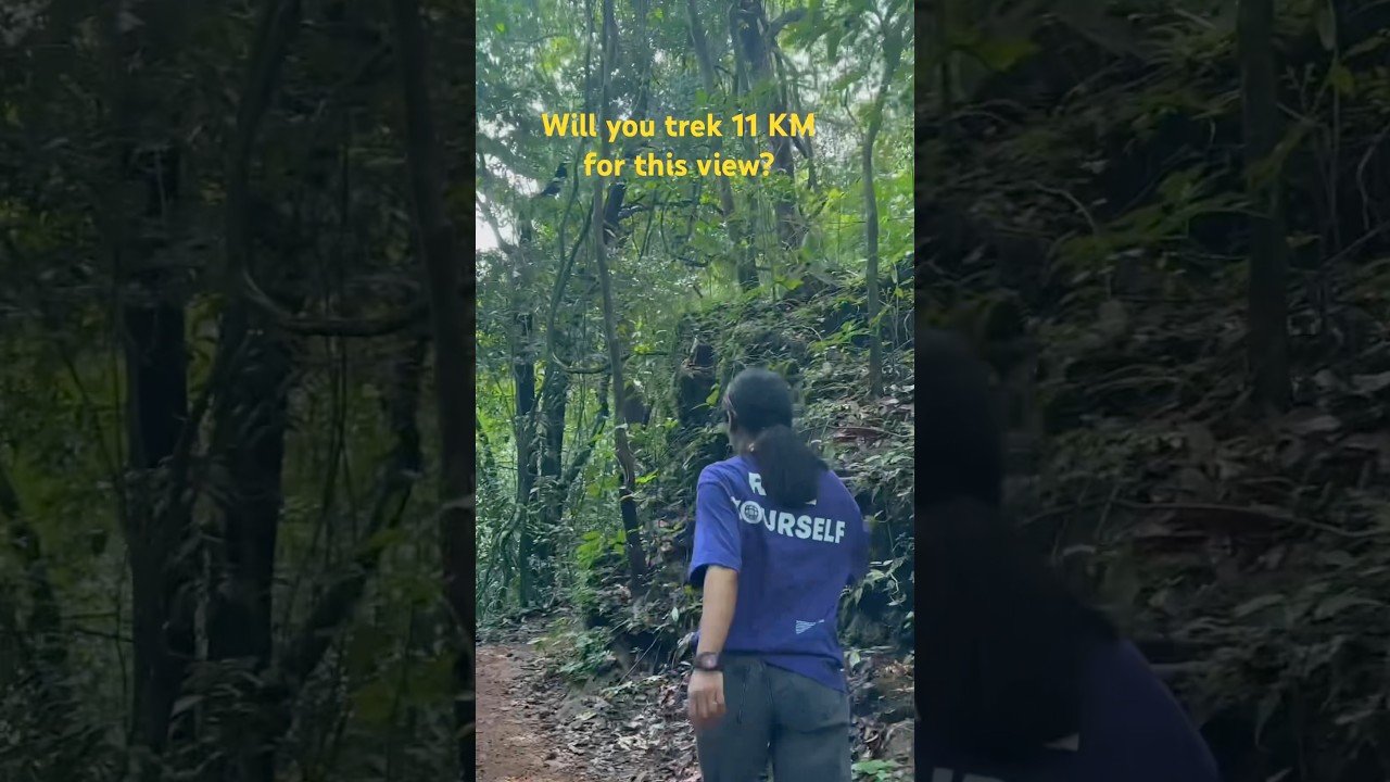 WATCH TILL END✨ #dudhsagartrek #dudhsagarwaterfalls #goatourism #foresttrek #goa #waterfalltrek #