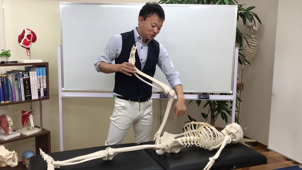 骨盤調整【AKA治療】を85%以上成功させる仙腸関節の検査法