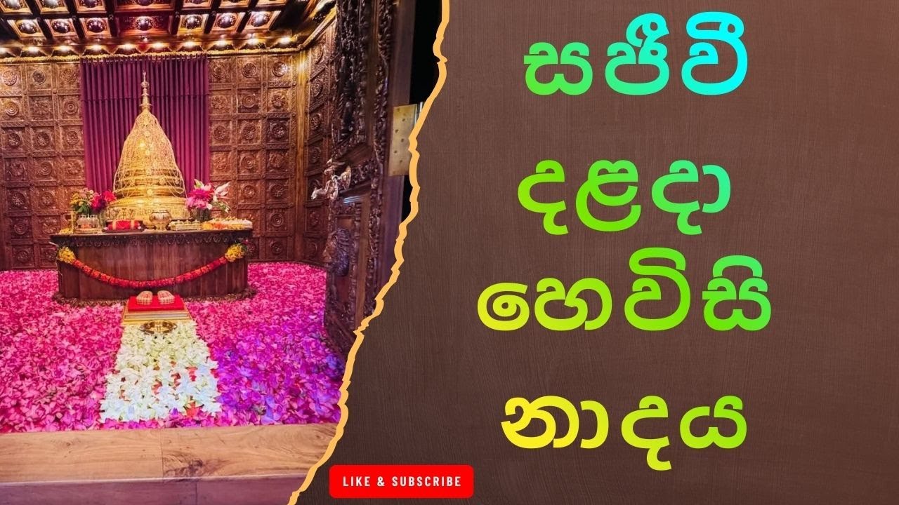 දළදා මාලිගාවේ උදෑසන හෙවිසි නාදය – Peaceful Buddhist Drums /දළදා පූජාවට පෙර හෙවිසි නාදය