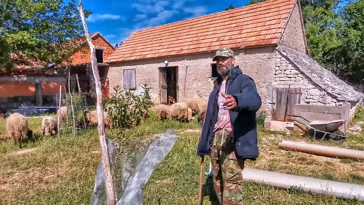 Potraga za ovcama - Priče iz Dalmacije