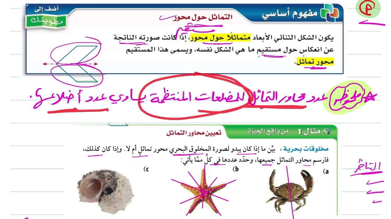 التماثل رياضيات أول ثانوي 1446