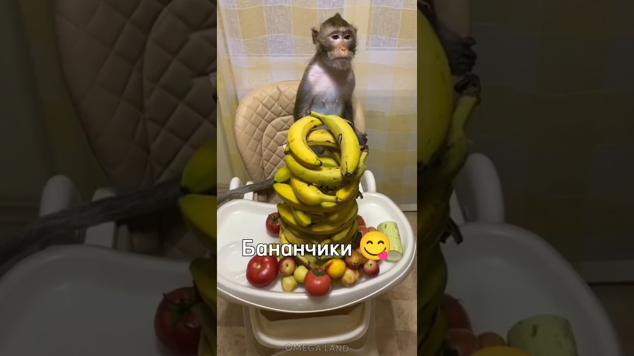 Бананчики 😍🍌 #rek #monkey #ещкере #omega #brother #браток #а4 #майнкрафт #роблокс #tiktok