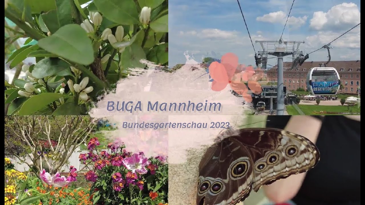 Exploring Buga 2023 in Mannheim / Daily Vlog / Germany Travel Vlog