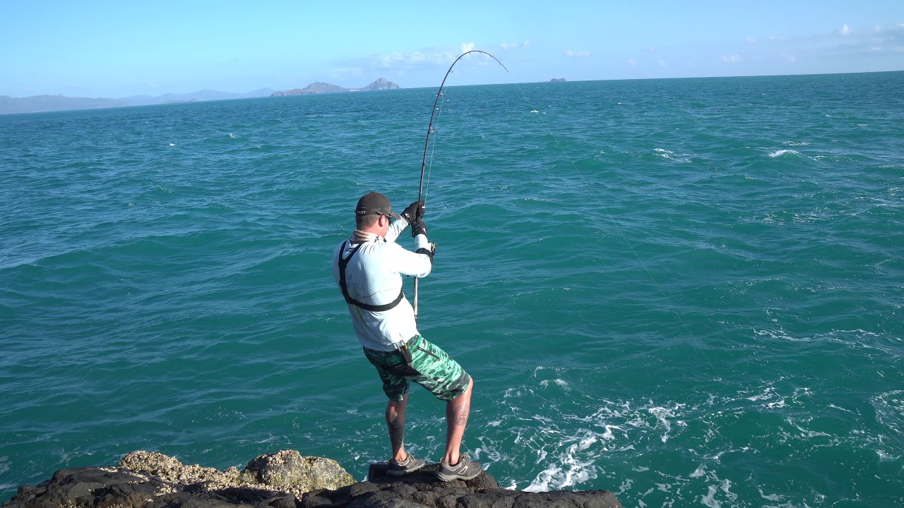 Big Queenfish