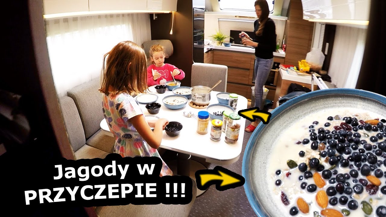 Jeździmy BEZ CELU po Lofotach !!! - Zbieramy Jagody i zwiedzamy Muzeum Zabawek !!! * Norwegia #589