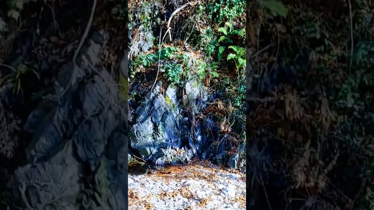 Sopot waterfall #travel #waterfall #nature#bulgaria путешествие #водопад #красиваяприрода #болгария