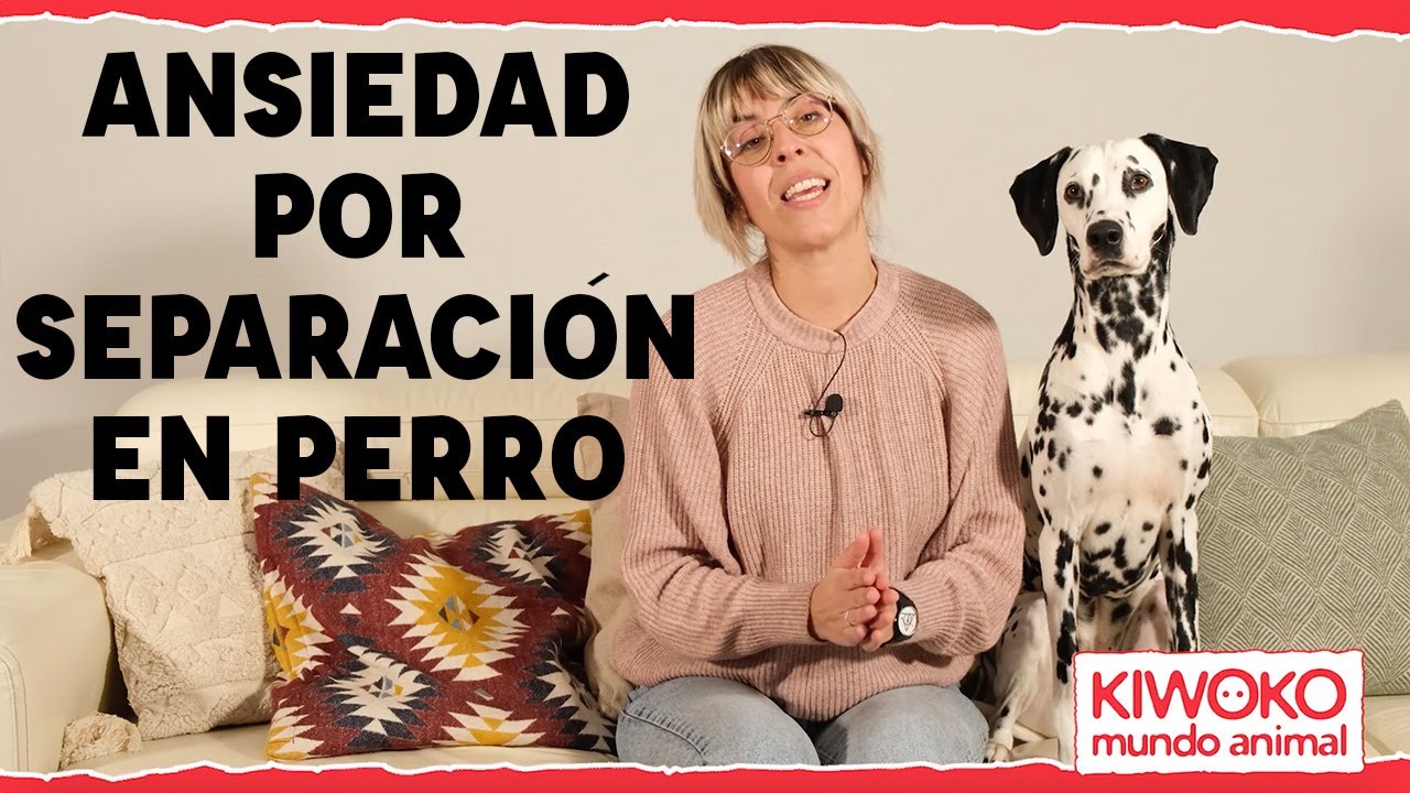 ANSIEDAD en PERROS por SEPARACIÓN 🐶🕥【Trucos Infalibles 🔥】