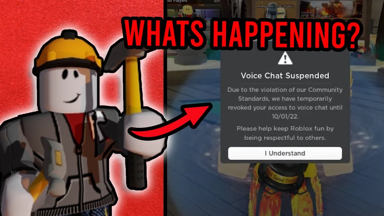Roblox Voice Chat is BROKEN...