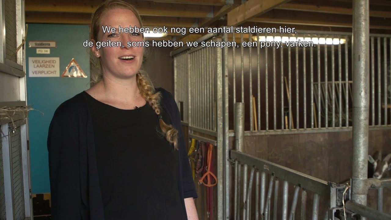Aeres MBO Leeuwarden: Dierverzorging