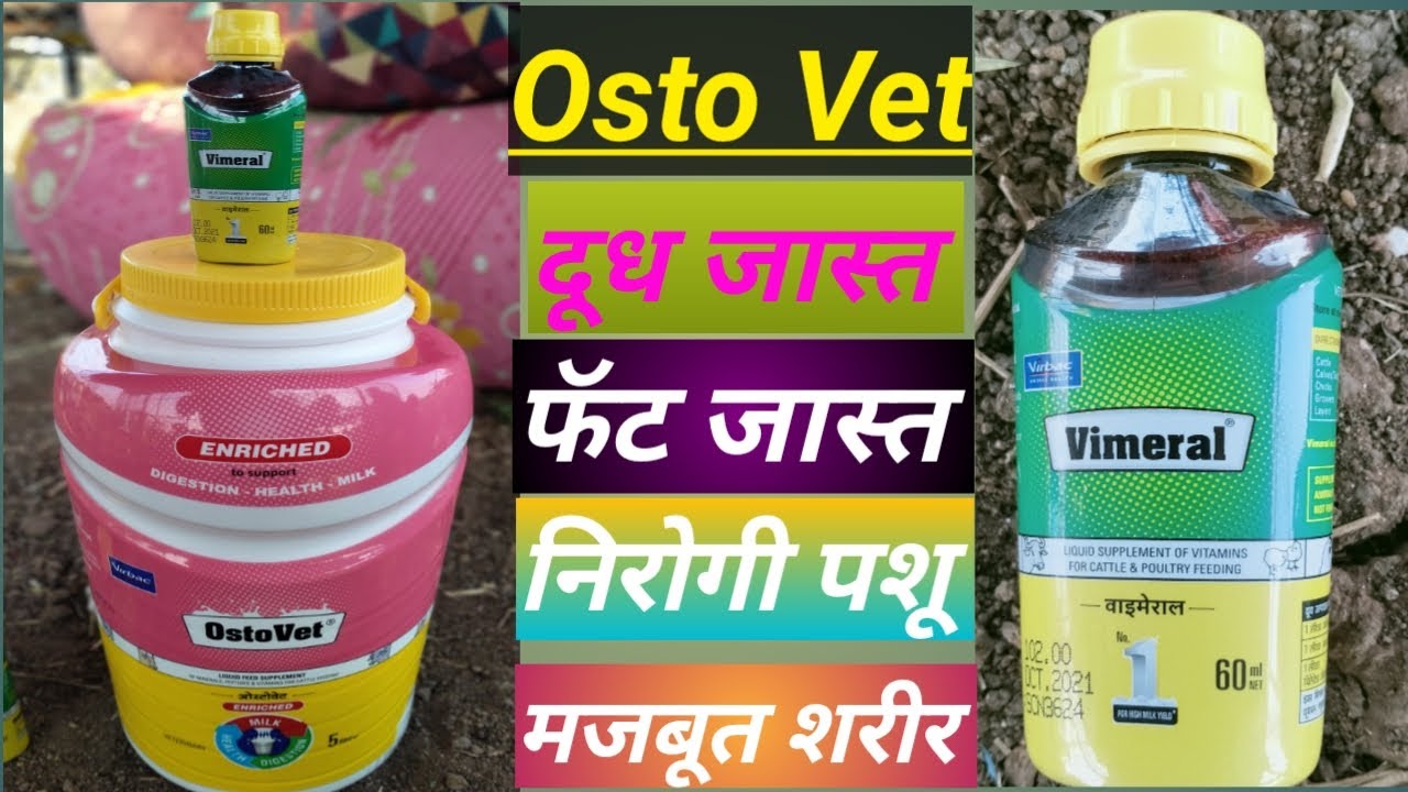 Osto Vet चा वापर कसा करावा. ostovet +vimeral use, दूध वाढीसाठी काय करावे, दूध वाढीसाठी उपाय, ostovet