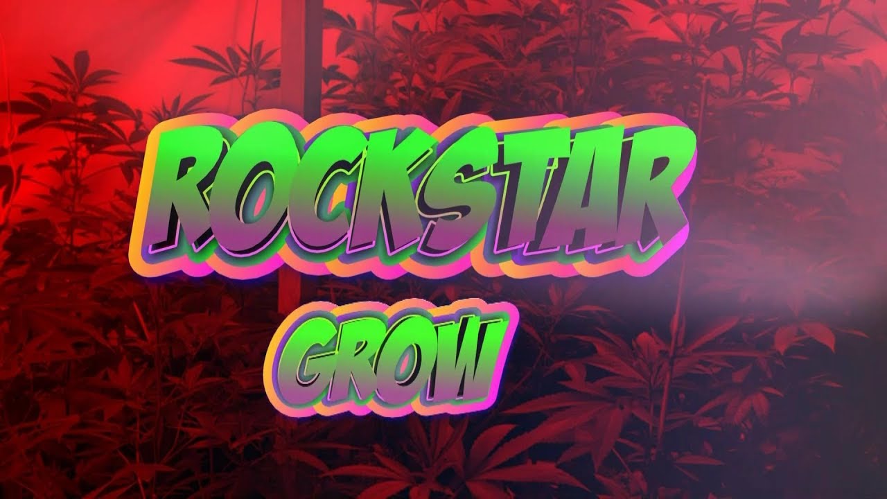 ROCKSTAR Grow!! - Part of 