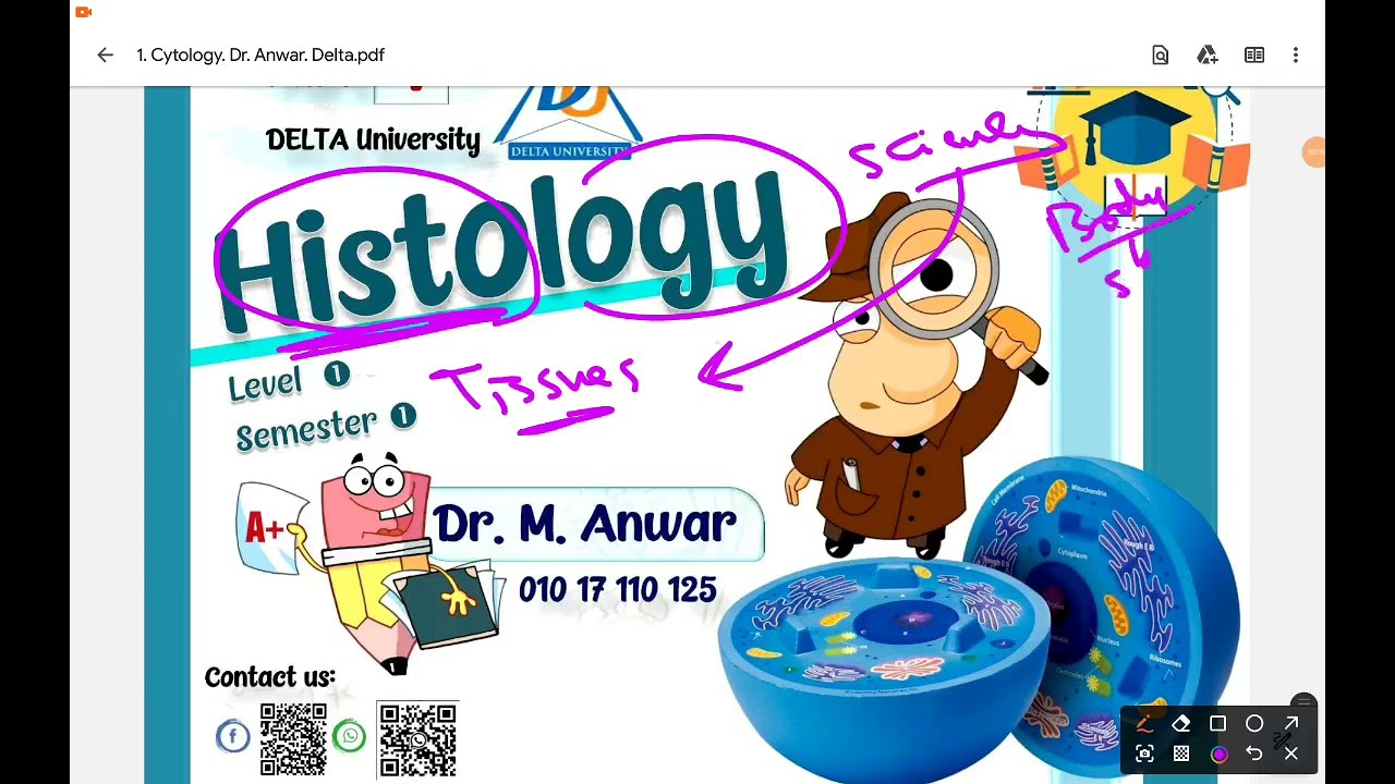 محاضرة 1 هستولوجي .. Dr. Anwar Histology