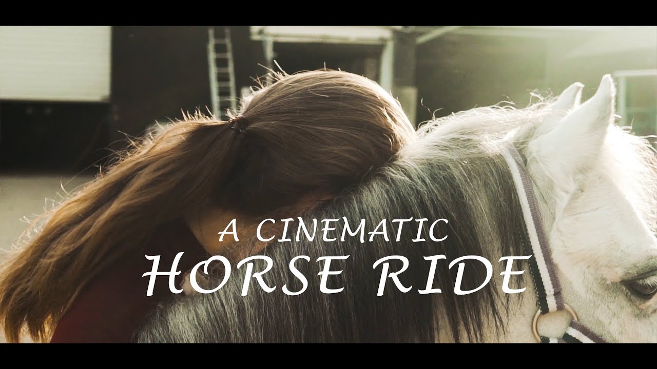 Cinematic Horse Ride | 4K