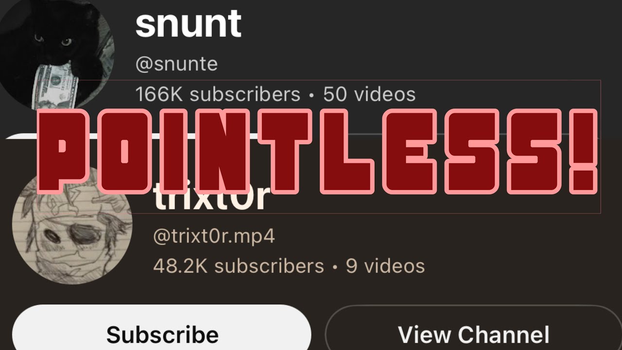 the @snunte and @trixt0r.mp4 drama is pointless! 