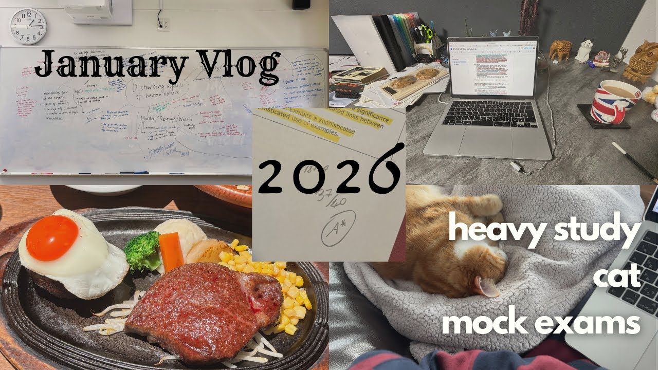 January Silent Vlog: studying, mocks, pony feature