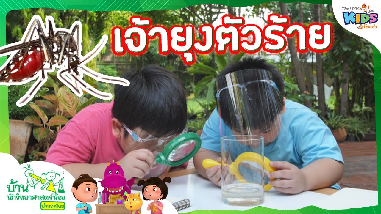 เจ้ายุงตัวร้าย : บ้านนักวิทยาศาสตร์น้อย
