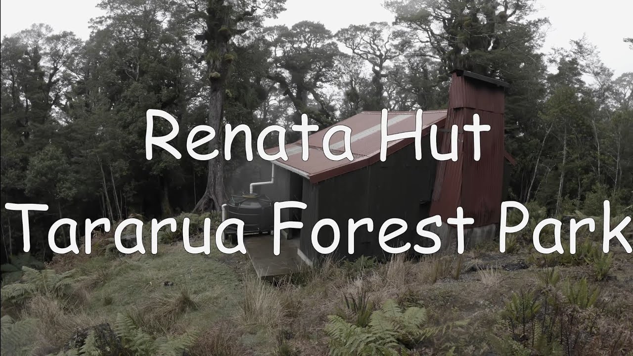 Day hike to Renata Hut - Tararua Forest Park