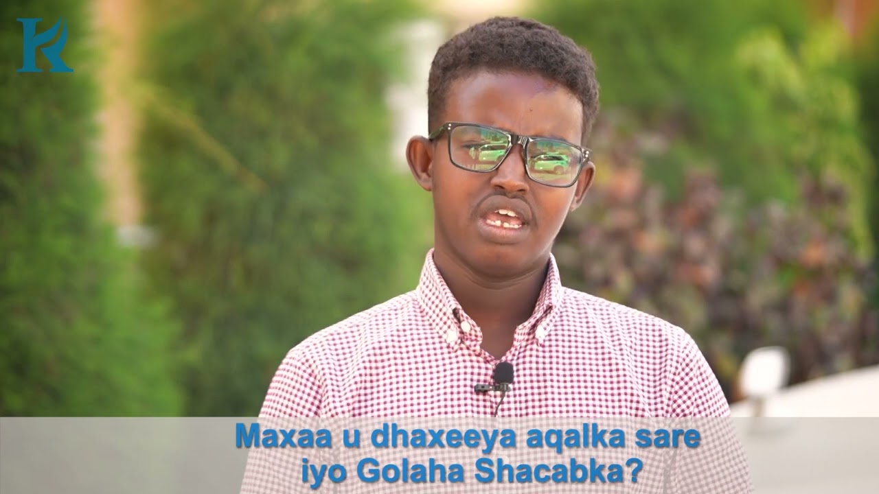 Waa Maxay Baarlamaan