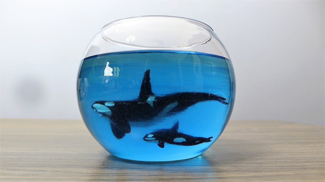 How to Make Orca in Fishbowl | Resin Art | Diorama