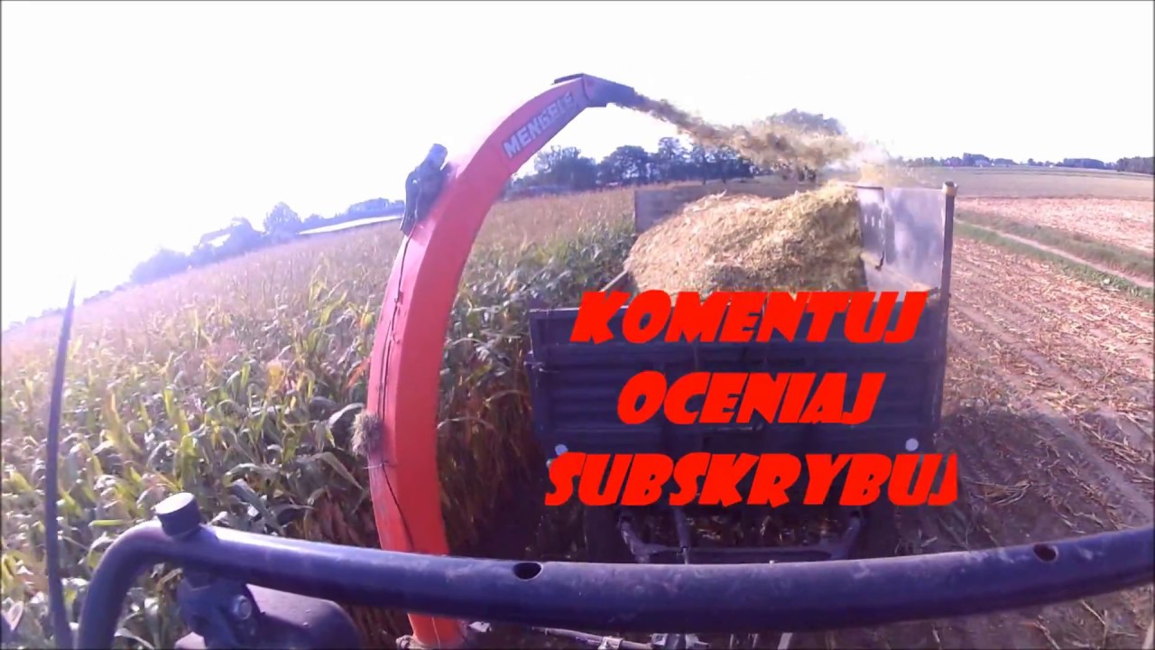 Mój pierwszy vlog połączony z filmem czyli kukurydza 2018