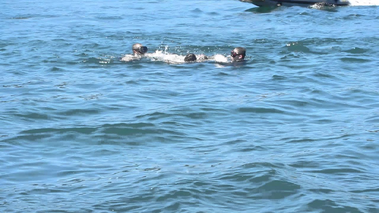 pruebas salvavidas, rescate pancho