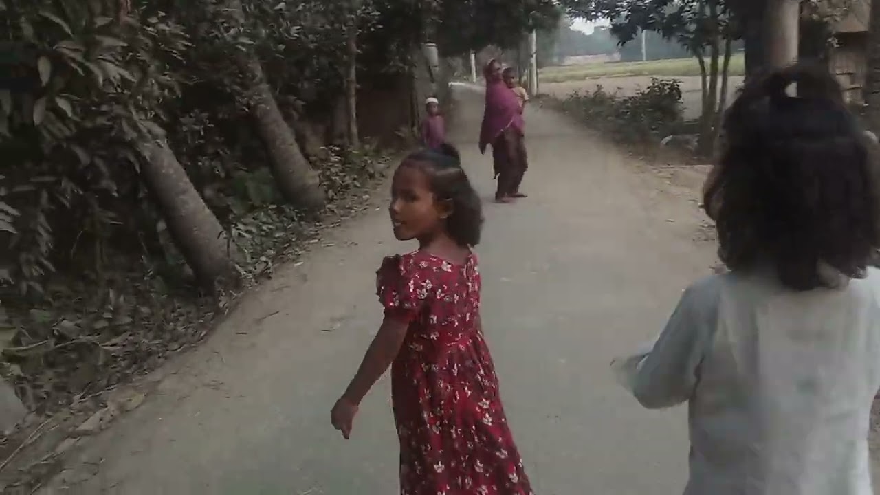 গ্রামের  রাস্তা 