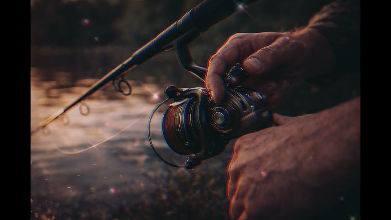 Frana reglata