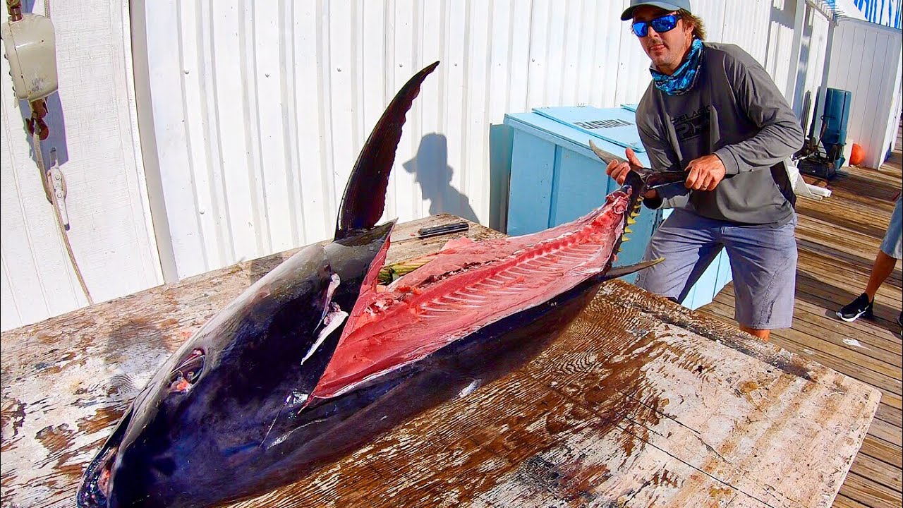 Surprise Bigeye Tuna! Catch Clean and Cook