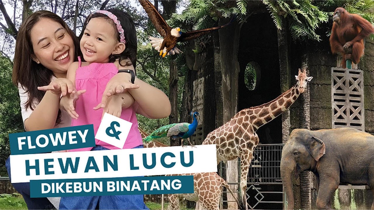 Flowey KETEMU GAJAH RAKSASA! 🐘 Seru Banget Belajar Hewan di Kebun Binatang  Ragunan🦒