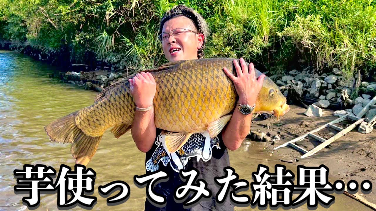 使ってみたシリーズのはずだったんだがとんでもない奴が来やがった…