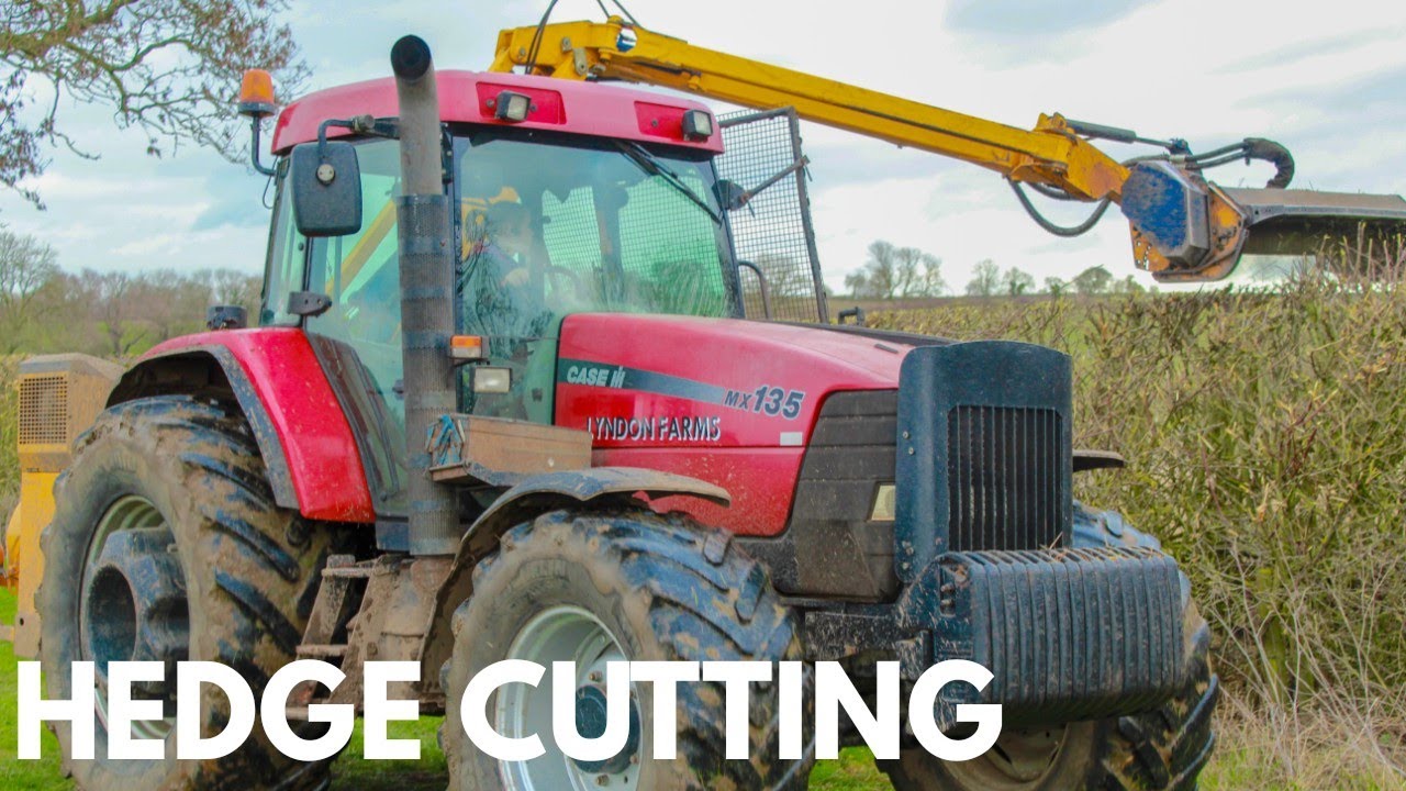 Lyndon Farms Penny - Hedge Cutting 2019 - #caseih