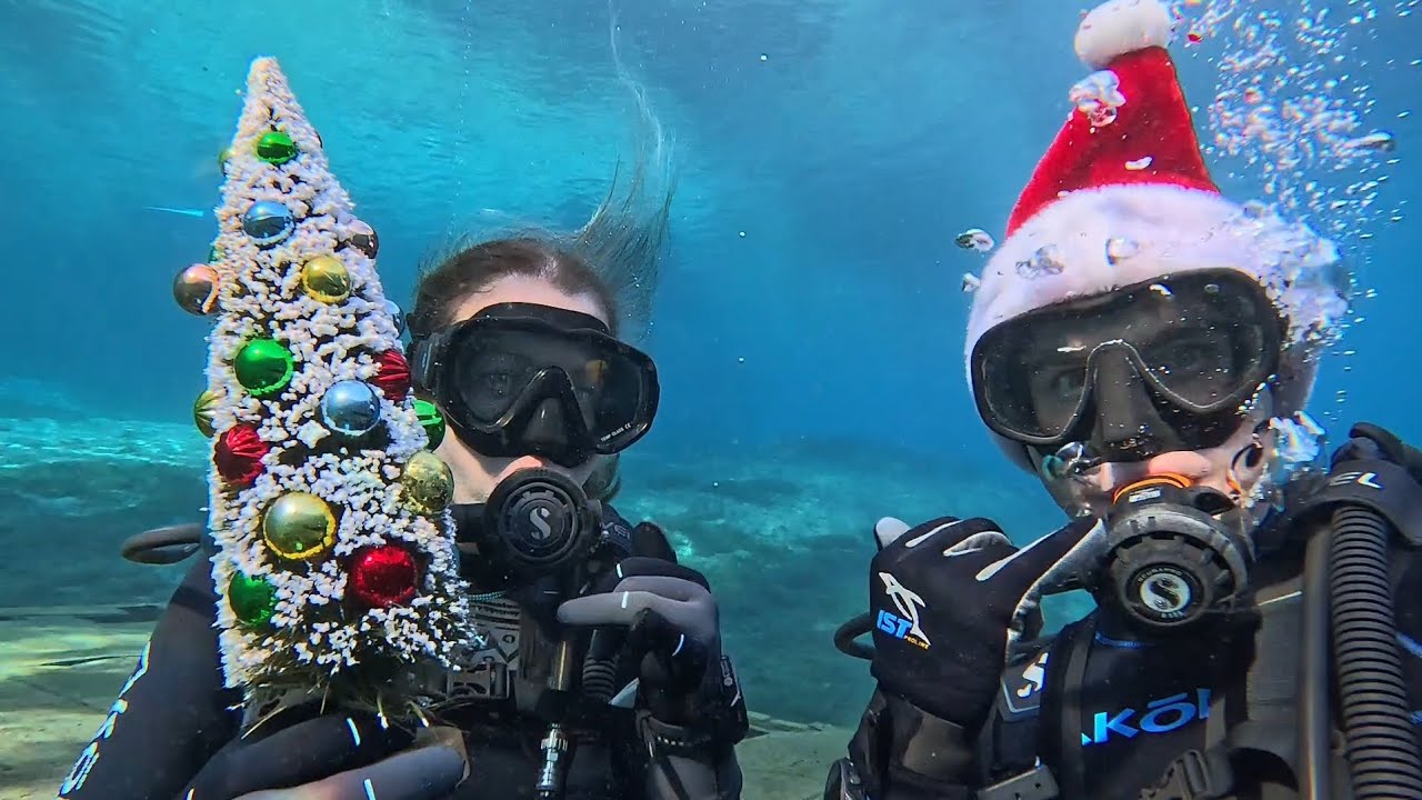 MORRISON SPRING. CHRISTMAS DAY DIVE.