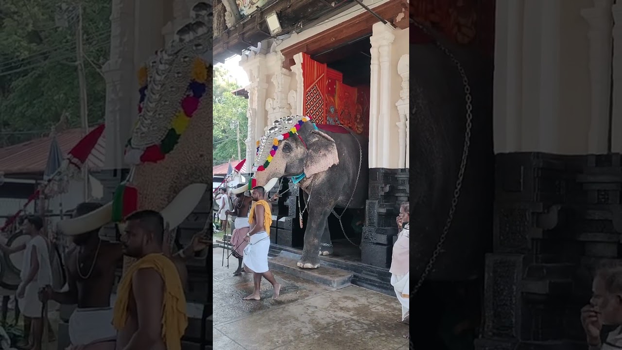 Koodalmanikyam Temple Irinjalakuda Utsavam 2025 #koodalmanikyam #utsavam #irinjalakuda #shortfeed