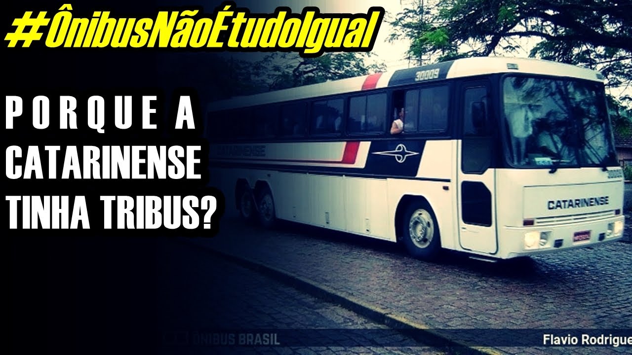 #ÔnibusNãoÉtudoIgual | PORQUE A CATARINENSE TINHA TRIBUS?