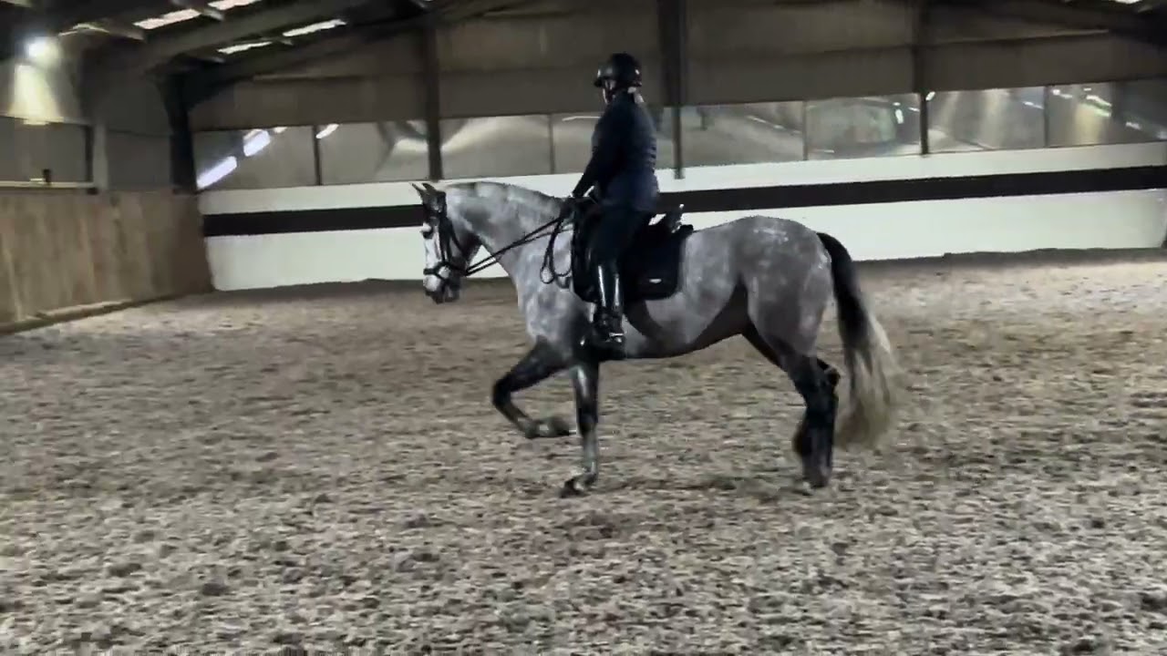 Nicola Sloper & Cacique GC N3A eriders BRC Dec 2025