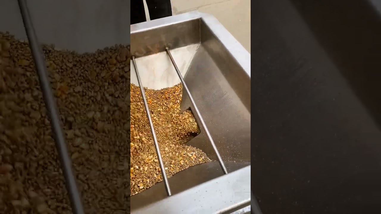 Grain auger conveyor for grain loading