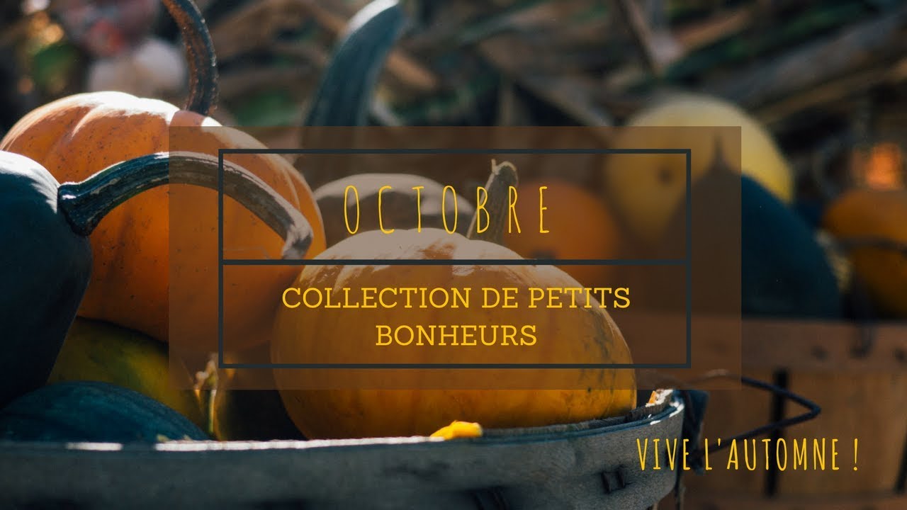 6 petits bonheurs à vivre en automne