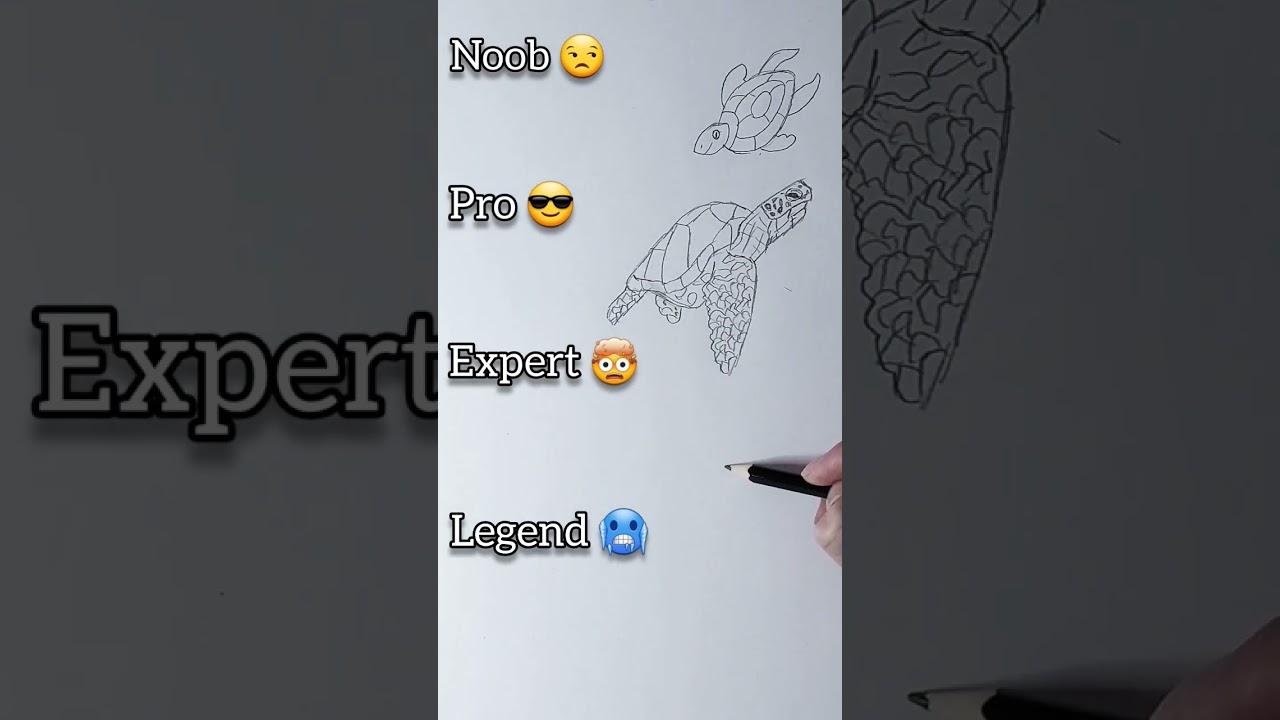 How to draw a turtle✨️🐢