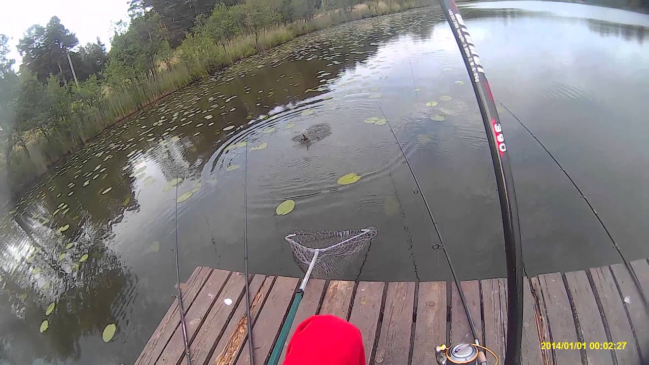 Lynas 2015-06, 1kg tench fishing